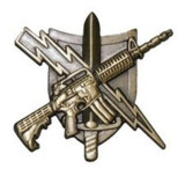 TACTICAL PATROL OFFICER PIN - ANTIQUE GOLD.